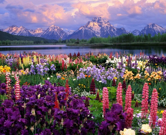 Долина цветов на wikipoints.ru