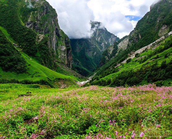 Долина цветов на wikipoints.ru