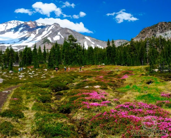 Гора Шаста на wikipoints.ru