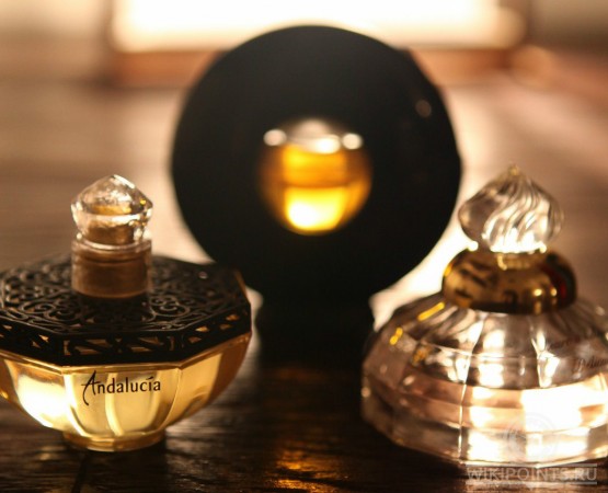 Музей истории парфюмерии на wikipoints.ru