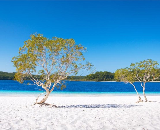 Озеро Маккензи на wikipoints.ru