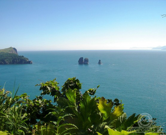 Авачинская бухта на wikipoints.ru