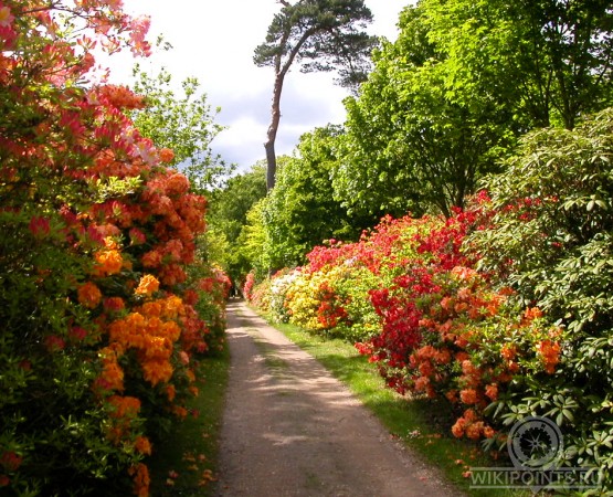 Сады Эксбери на wikipoints.ru