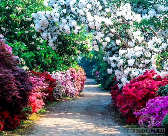 Сады Эксбери на wikipoints.ru