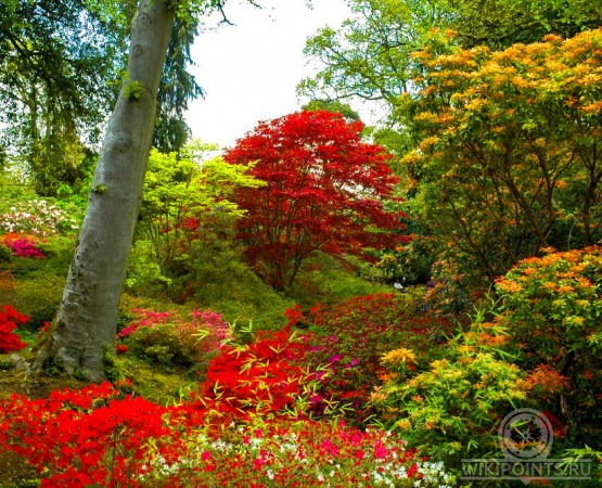 Сады Эксбери на wikipoints.ru