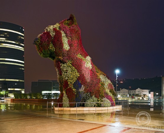 Музей Гуггенхайма в Бильбао на wikipoints.ru