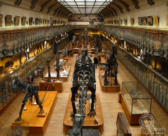 Музей естествознания на wikipoints.ru