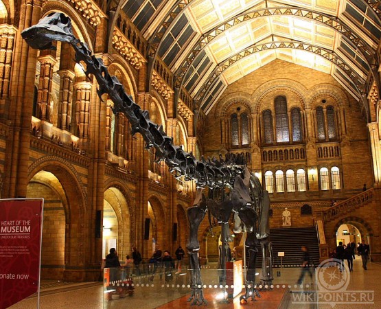Музей естествознания на wikipoints.ru