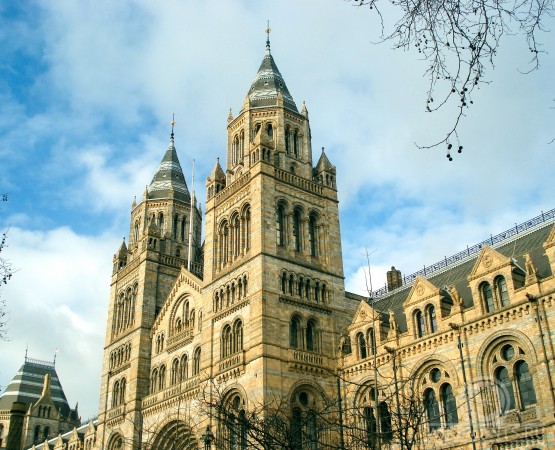 Музей естествознания на wikipoints.ru