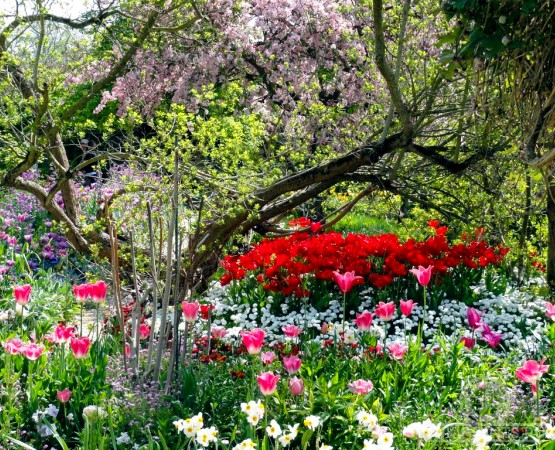 Усадьба Клода Моне на wikipoints.ru