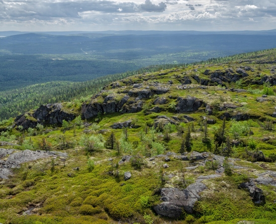 Национальный парк Паанаярви на wikipoints.ru