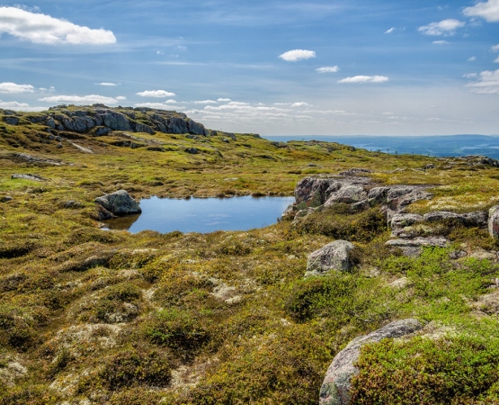 Национальный парк Паанаярви на wikipoints.ru