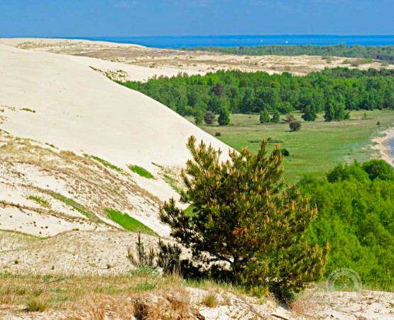 Куршская коса на wikipoints.ru