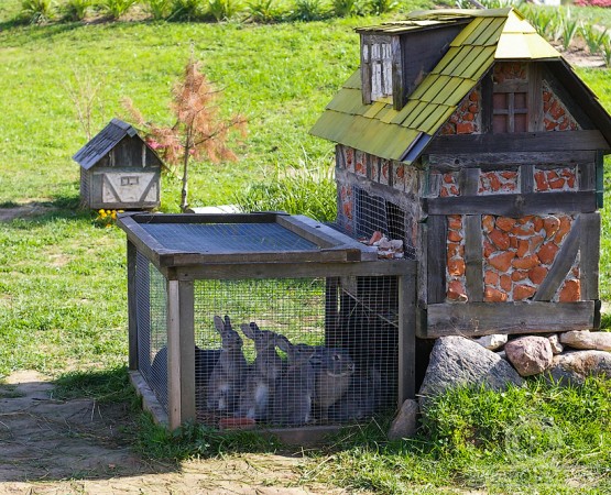 Кроличий городок на wikipoints.ru