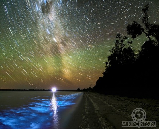 Светящийся пляж на wikipoints.ru