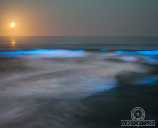 Светящийся пляж на wikipoints.ru
