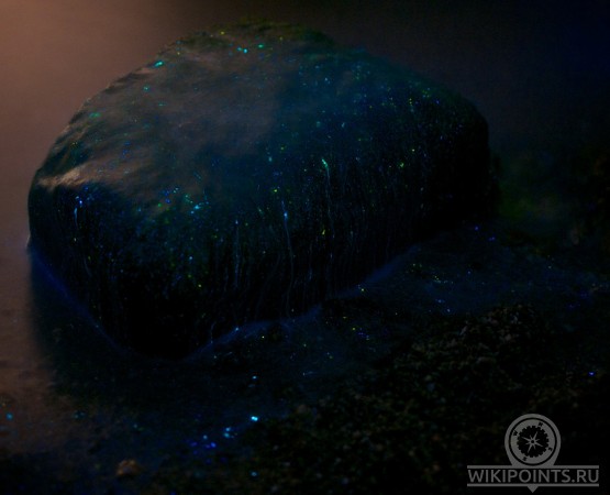 Светящийся пляж на wikipoints.ru