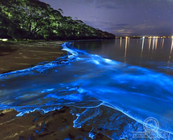 Светящийся пляж на wikipoints.ru