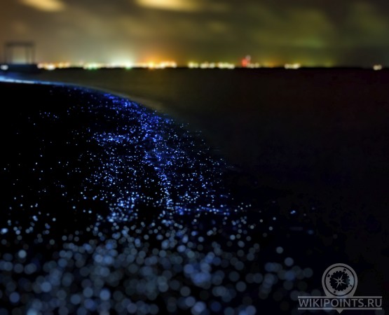 Светящийся пляж на wikipoints.ru
