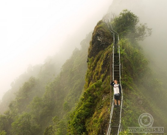 Лестница Хайку на wikipoints.ru