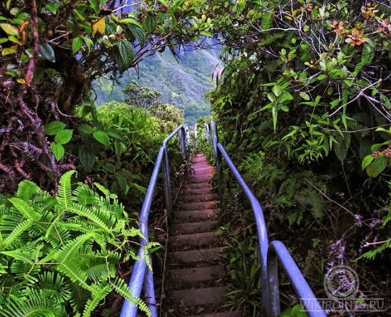 Лестница Хайку на wikipoints.ru