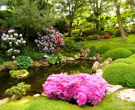 Пражский ботанический сад на wikipoints.ru