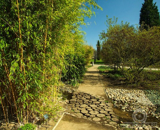 Пражский ботанический сад на wikipoints.ru