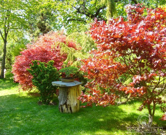 Пражский ботанический сад на wikipoints.ru