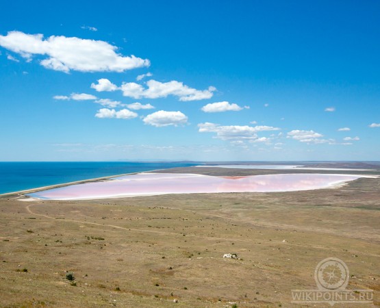 Кояшское озеро на wikipoints.ru