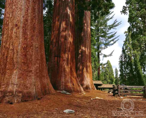 Национальный парк Секвойя на wikipoints.ru