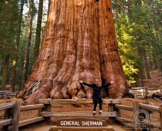 Национальный парк Секвойя на wikipoints.ru