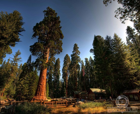 Национальный парк Секвойя на wikipoints.ru