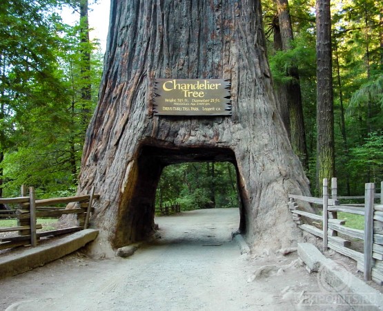 Национальный парк Редвуд на wikipoints.ru