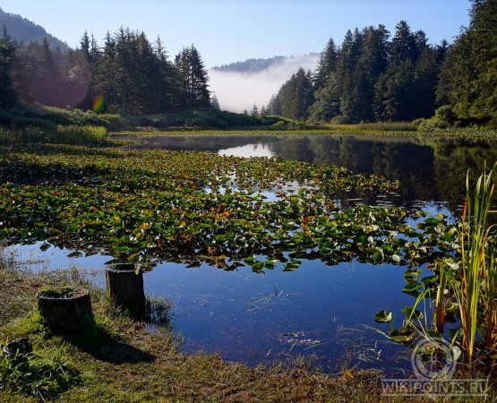 Национальный парк Редвуд на wikipoints.ru