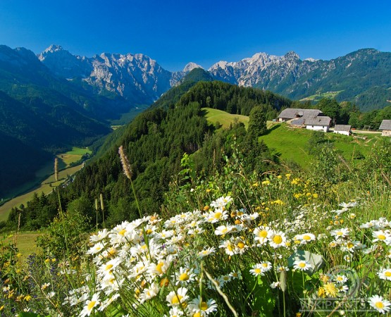 Долина Логар на wikipoints.ru