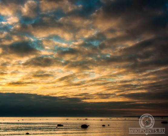 Памятник природы Комаровский берег на wikipoints.ru