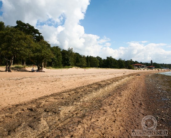 Памятник природы Комаровский берег на wikipoints.ru