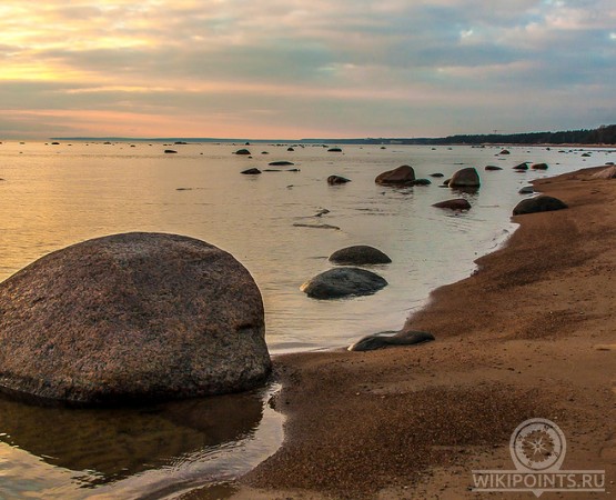 Памятник природы Комаровский берег на wikipoints.ru
