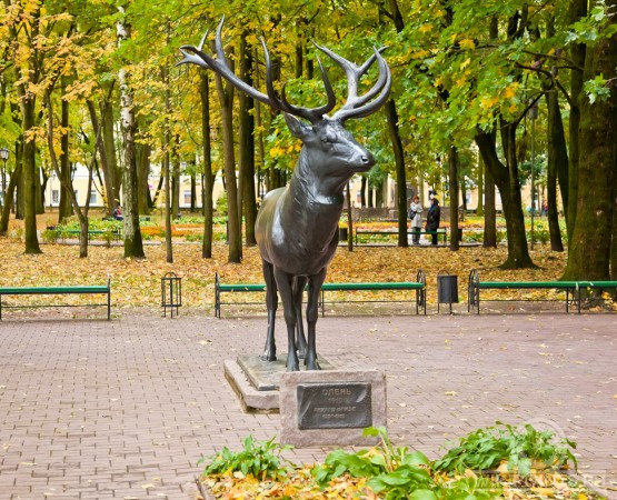 Сад Блонье на wikipoints.ru