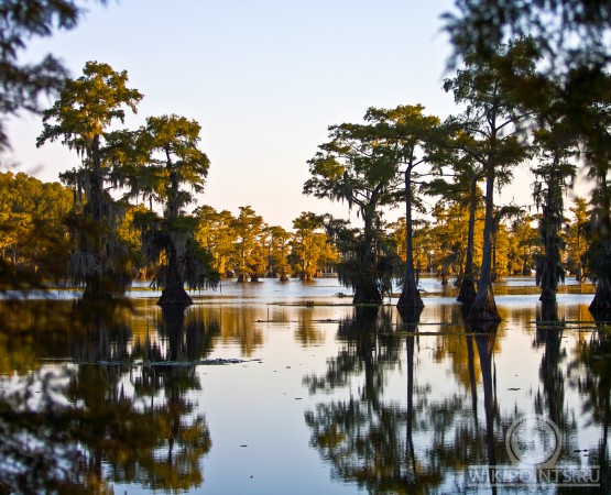 Озеро Каддо на wikipoints.ru