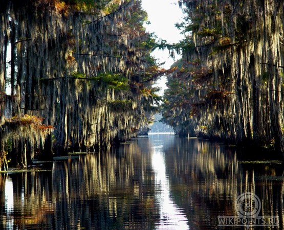 Озеро Каддо на wikipoints.ru