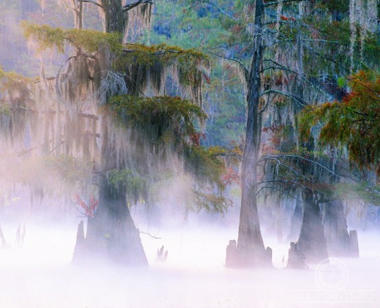 Озеро Каддо на wikipoints.ru