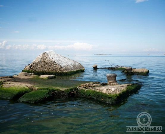 Молога на wikipoints.ru