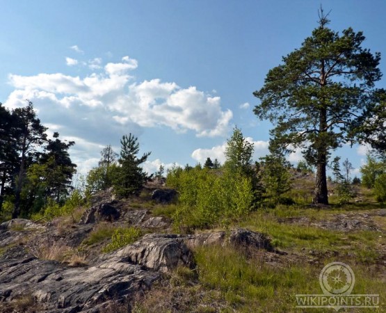 Парк культуры и отдыха Ваккосалми на wikipoints.ru