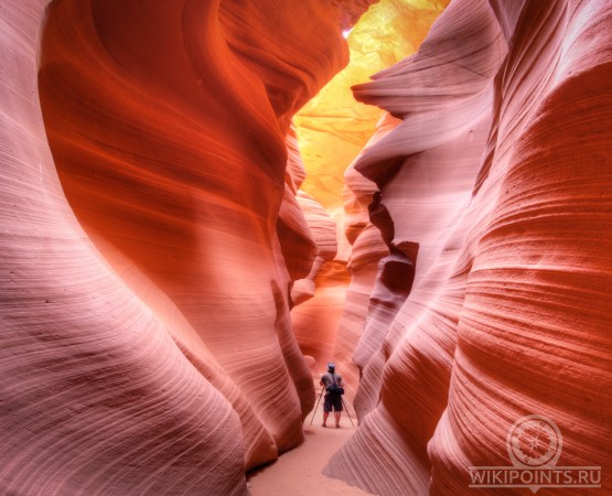Каньон Антилопы на wikipoints.ru