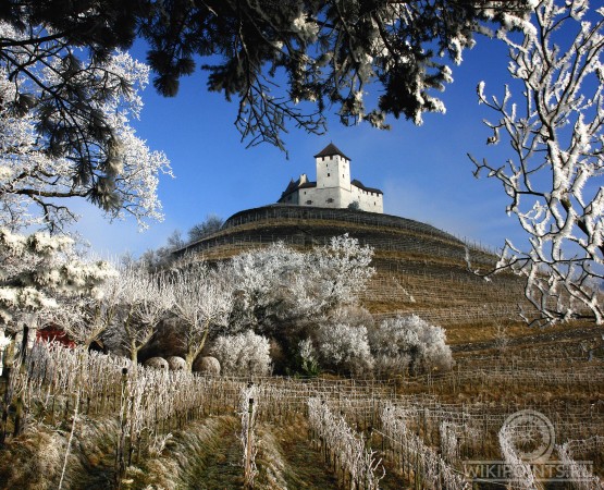 Замок Гутенберг на wikipoints.ru