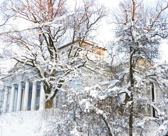 Музей-усадьба Рождествено на wikipoints.ru