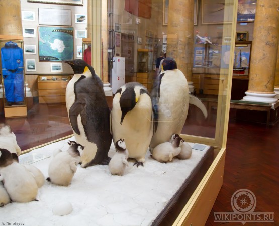 Музей Арктики и Антарктики на wikipoints.ru