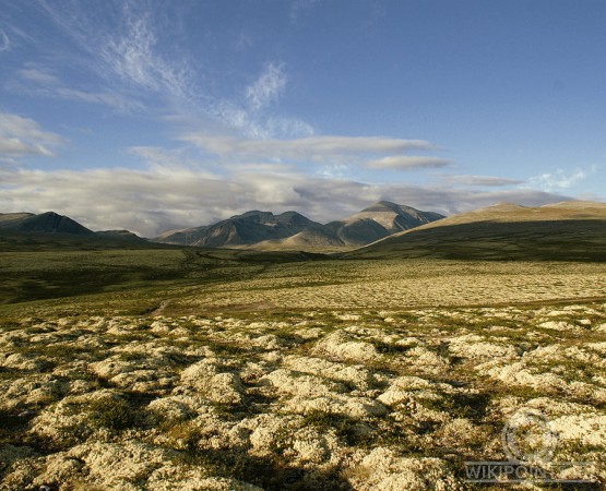 Национальный парк Рондане на wikipoints.ru