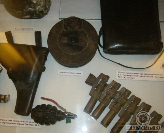 Лужский историко-краеведческий музей на wikipoints.ru